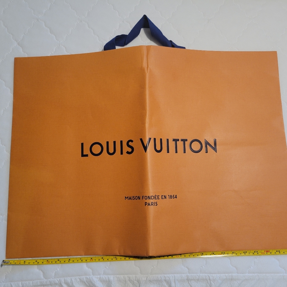 Louis Vuitton Store Bag